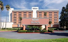 Hilton Concord
